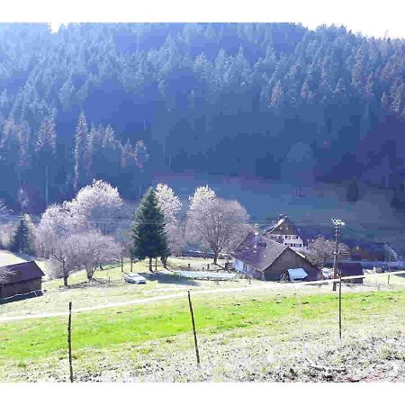 Ferienhaus Schwarzwald Seewald Erzgrube Badesee 100% Natur المظهر الخارجي الصورة