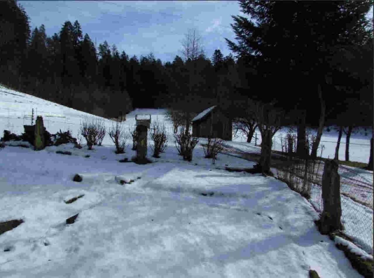 Ferienhaus Schwarzwald Seewald Erzgrube Badesee 100% Natur المظهر الخارجي الصورة