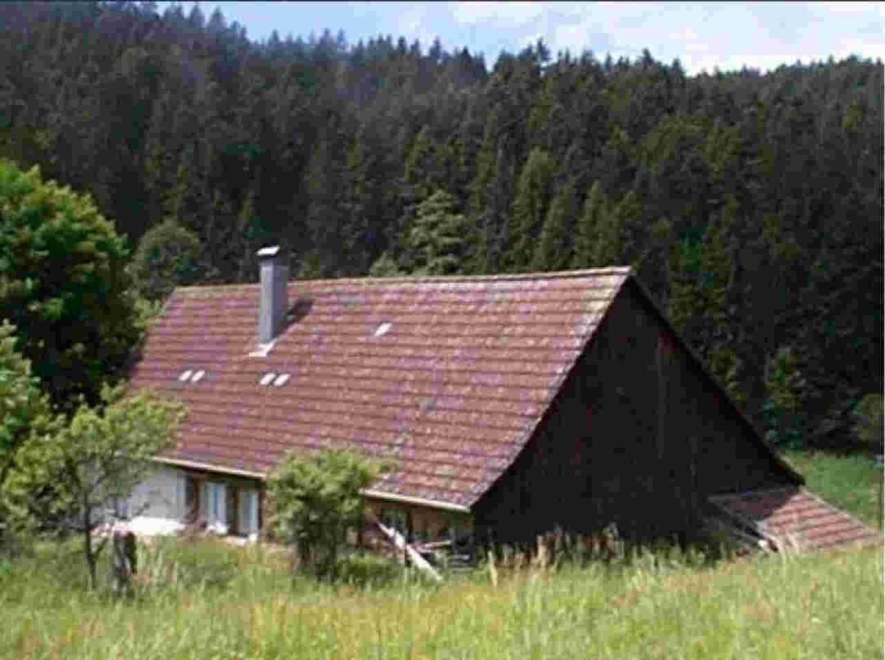 Ferienhaus Schwarzwald Seewald Erzgrube Badesee 100% Natur المظهر الخارجي الصورة